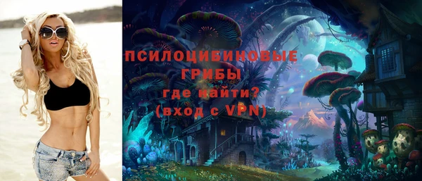 а пвп мука Ельня