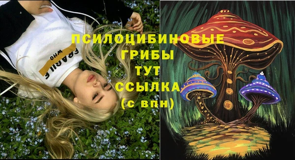 а пвп мука Ельня