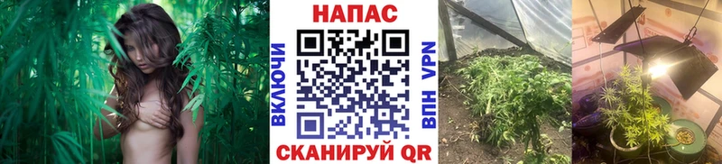 МАРИХУАНА THC 21%  продажа наркотиков  Игарка 